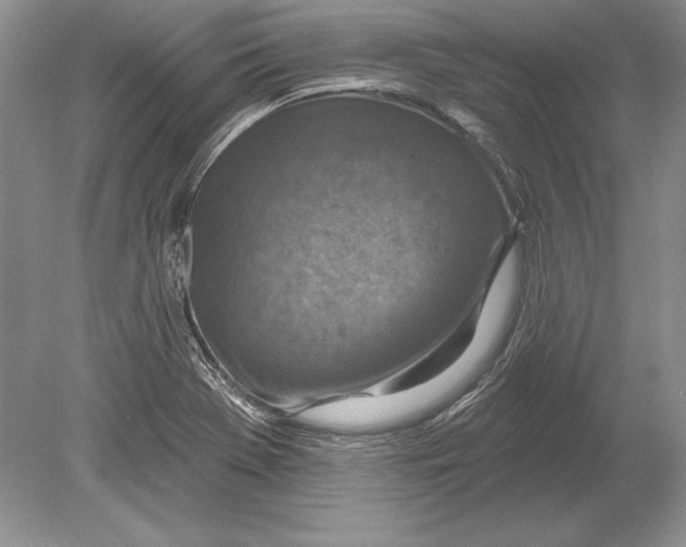 X0000078891369200612111754