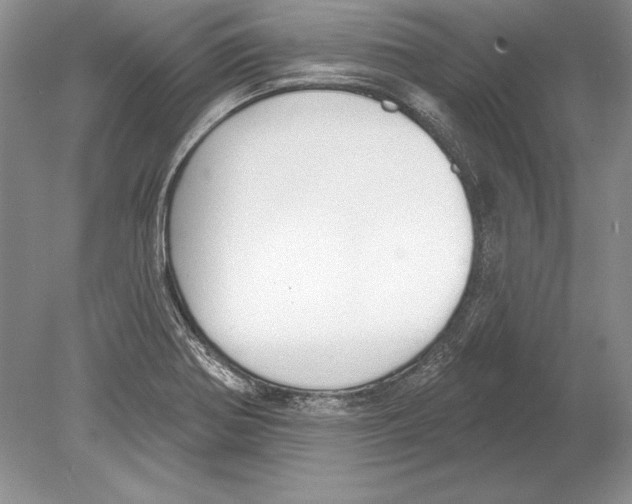 X0000078891370200612111754