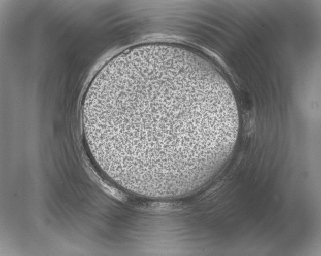 X0000078891371200612111754