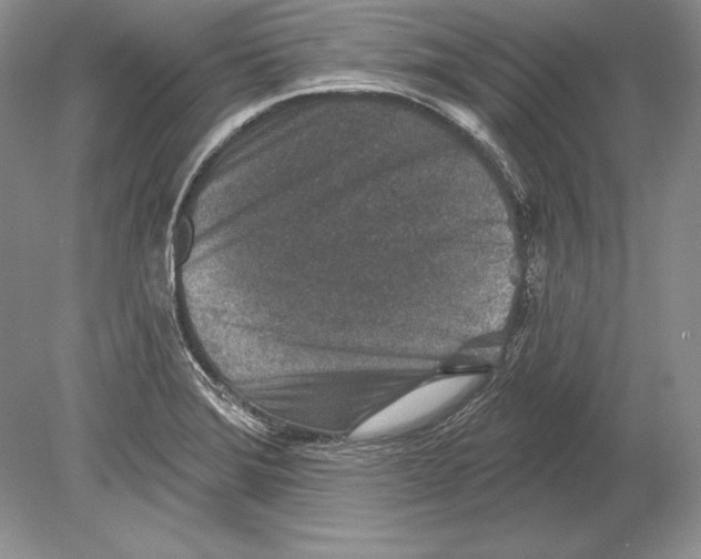 X0000078891372200612111754