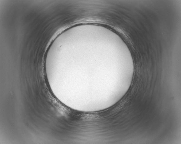 X0000078891374200612111754