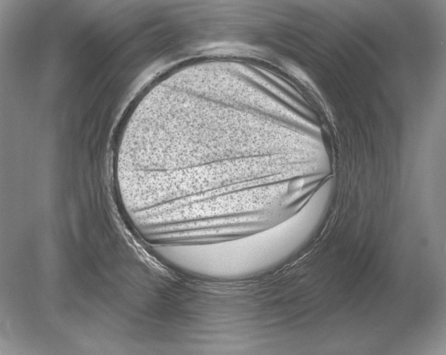 X0000078891376200612111754