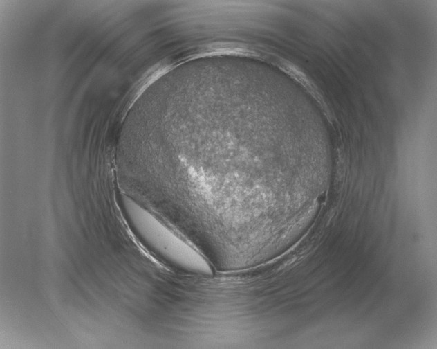 X0000078891377200612111754