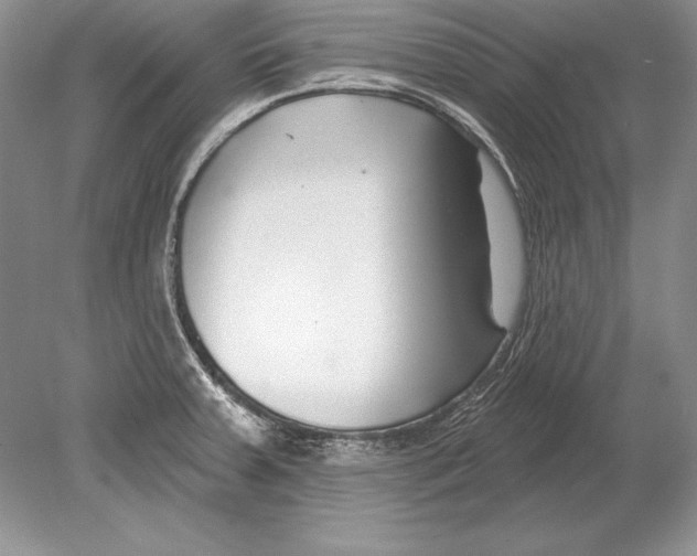 X0000078891379200612111754