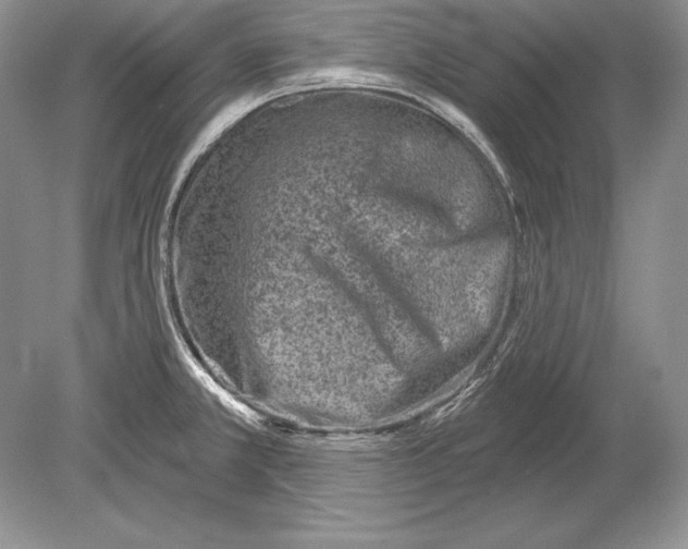 X0000078891381200612111754