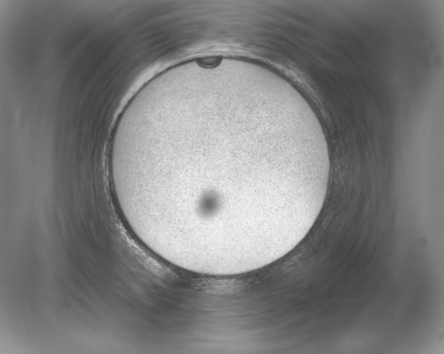 X0000078891382200612111754