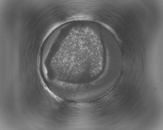 X0000078891383200612111754