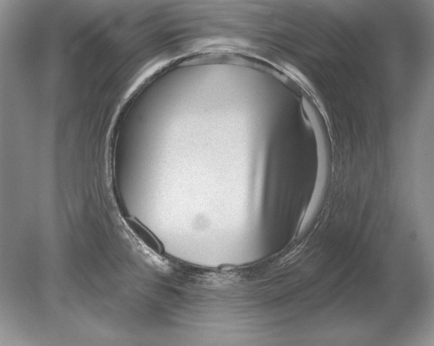 X0000078891384200612111754