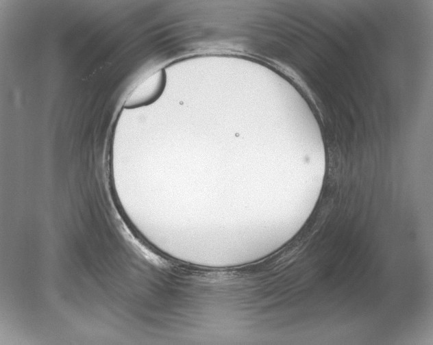 X0000078891387200612111754