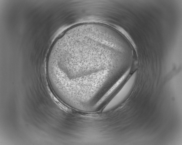 X0000078891388200612111754