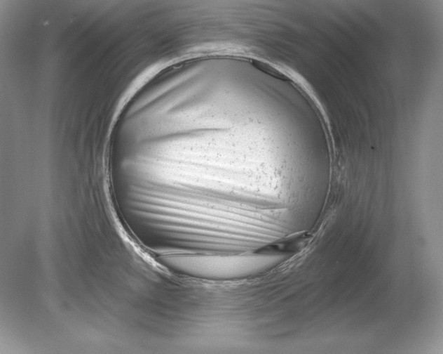 X0000078891389200612111754