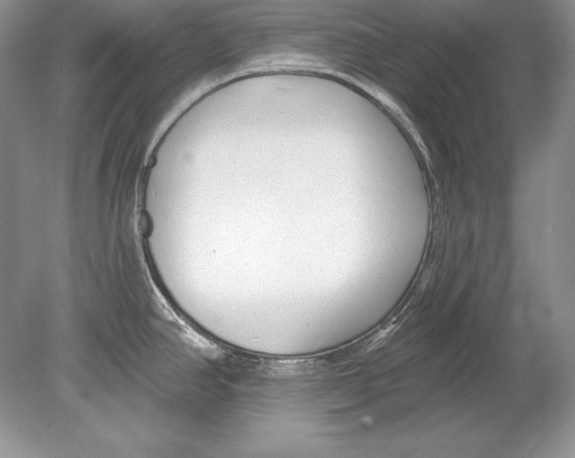 X0000078891390200612111754