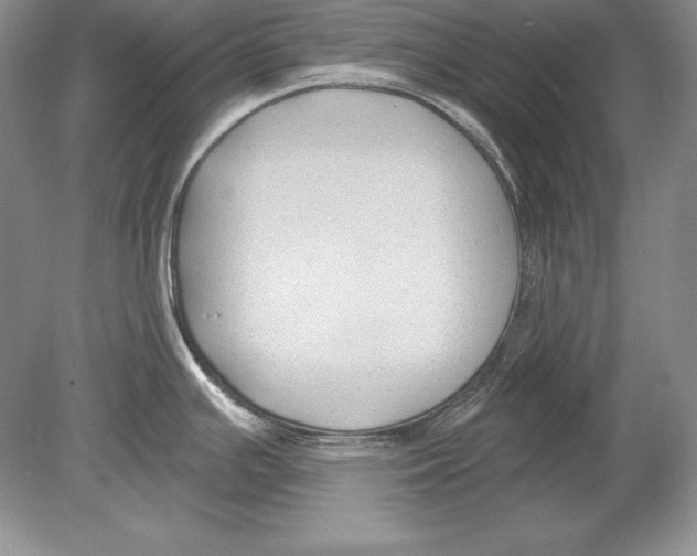 X0000078891391200612111754