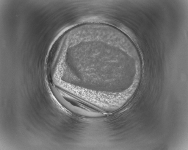 X0000078891392200612111754