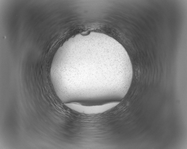 X0000078891393200612111753