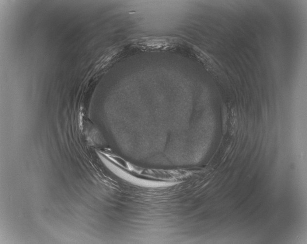 X0000078891394200612111753