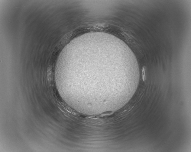 X0000078891395200612111753