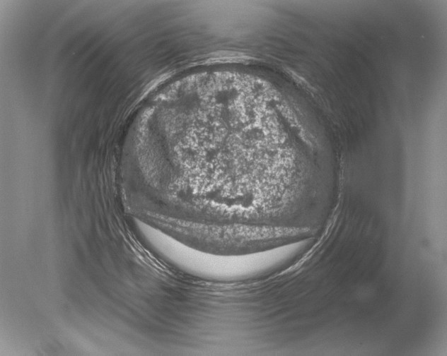 X0000078891401200612111753