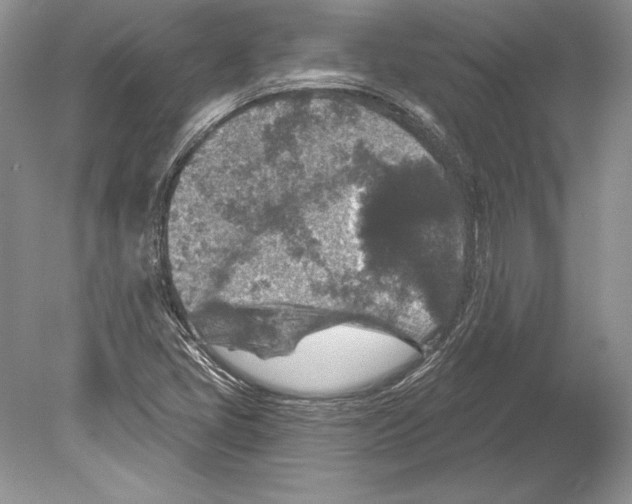 X0000078891405200612111753