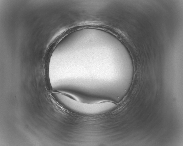 X0000078891406200612111753