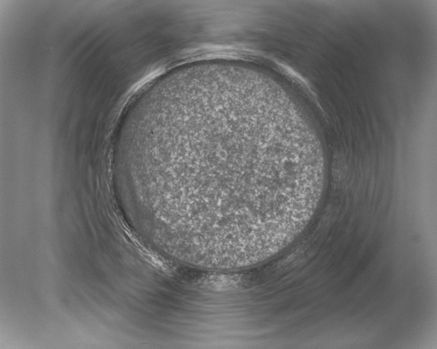 X0000078891411200612111753