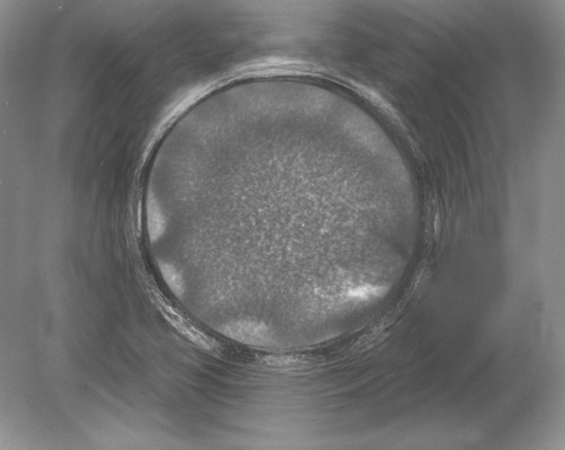 X0000078891413200612111753