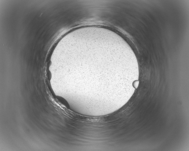 X0000078891415200612111753