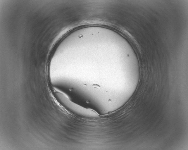 X0000078891416200612111753