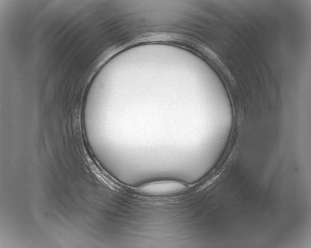 X0000078891417200612111753