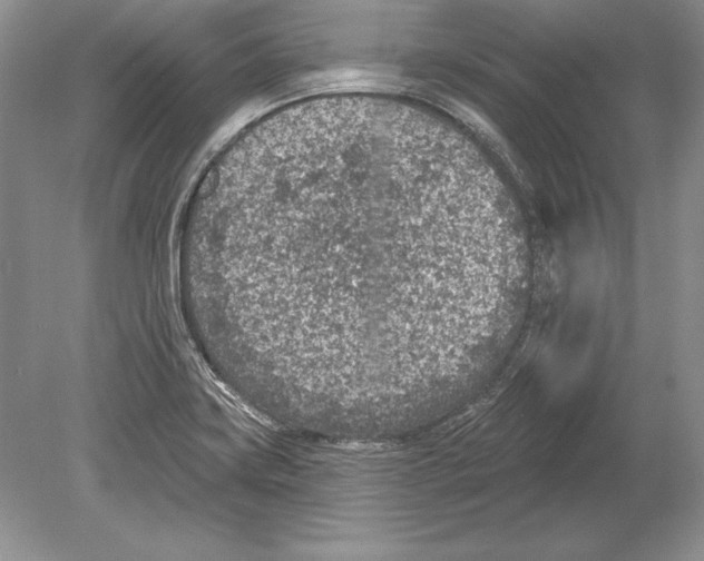 X0000078891419200612111753