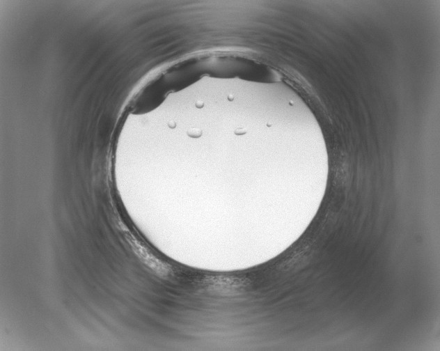 X0000078891420200612111753