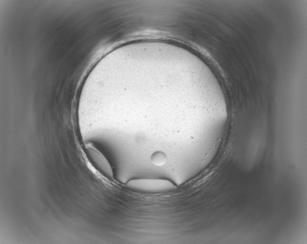 X0000078891421200612111753