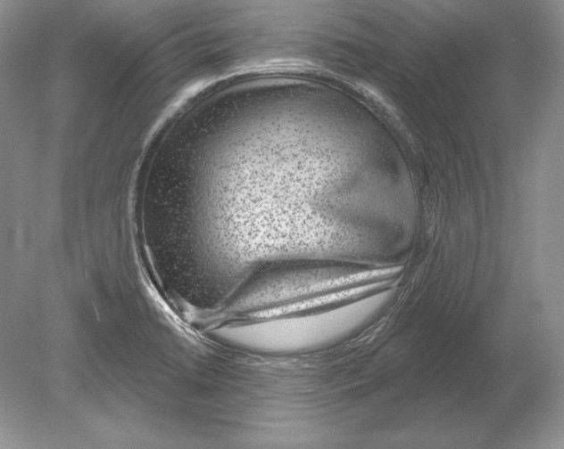 X0000078891422200612111753