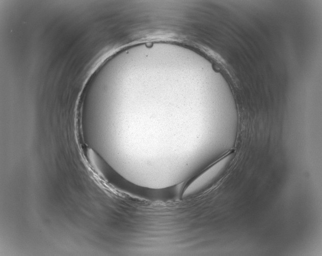 X0000078891423200612111753