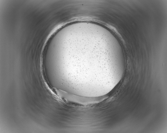 X0000078891424200612111753