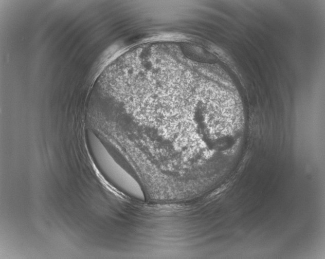 X0000078891425200612111753