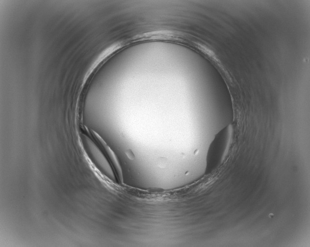 X0000078891426200612111753