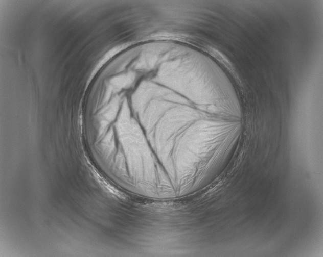 X0000078891428200612111754