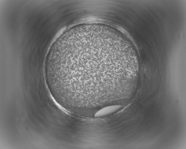 X0000078891429200612111754