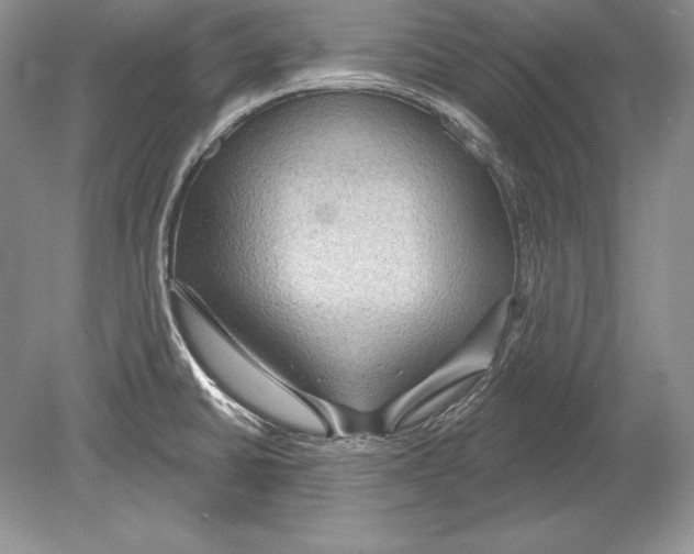 X0000078891430200612111754