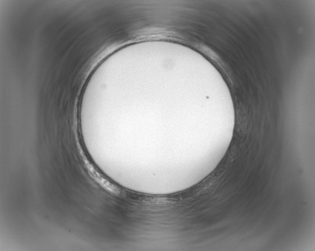 X0000078891431200612111754