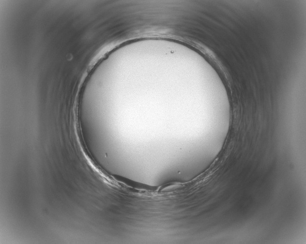 X0000078891432200612111754