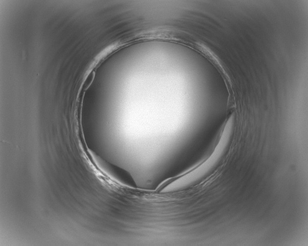 X0000078891434200612111754