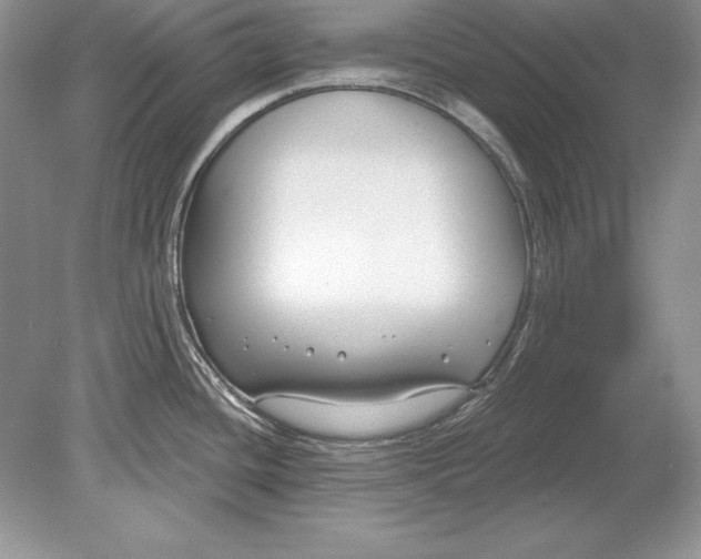 X0000078891436200612111754