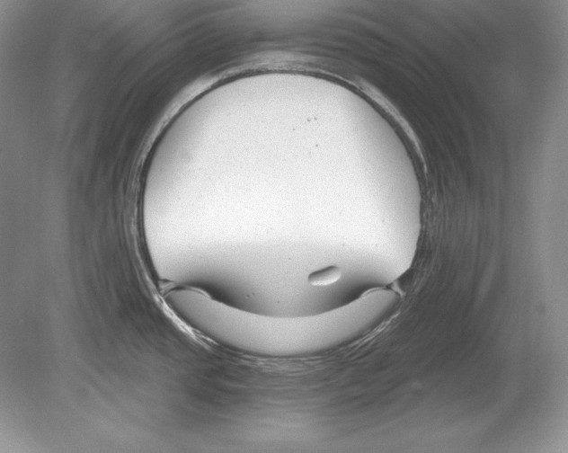 X0000078891437200612111754