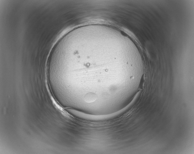 X0000078891439200612111754