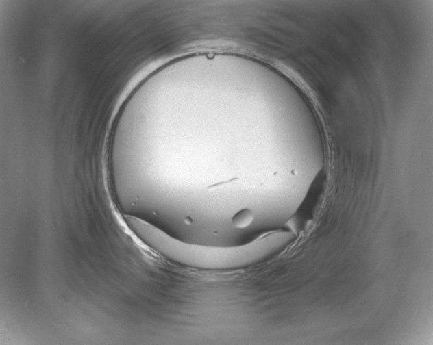 X0000078891440200612111754