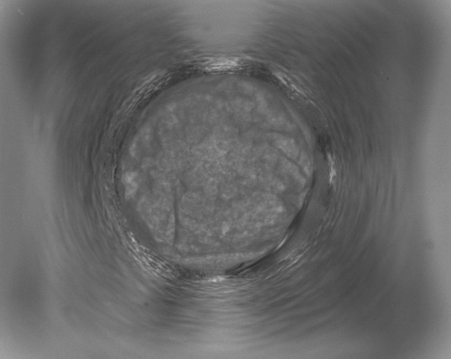 X0000078891441200612111753