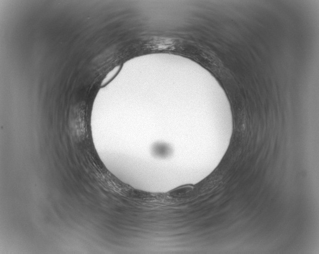 X0000078891442200612111753