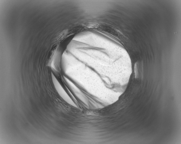 X0000078891443200612111753